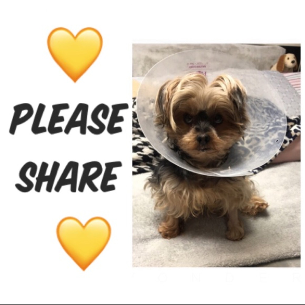 💕 Shanty’s Medical Bills SALE!!